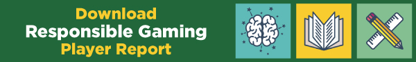Download Responsible Gambling Player Report